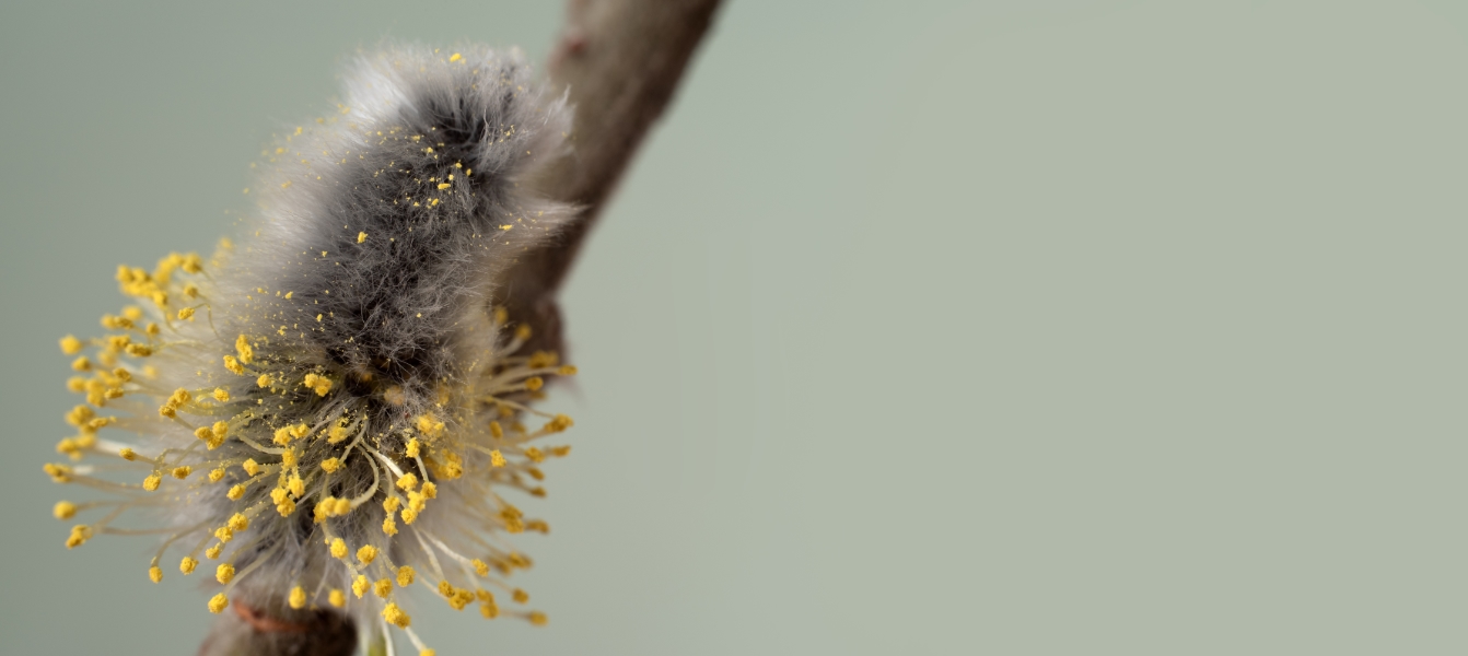 The pursuit of excellence and the power of vulnerability