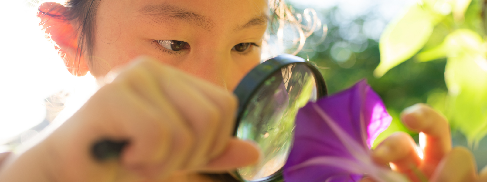 How can a Wellbeing Audit help your organisation develop the most effective wellbeing strategy for your business?